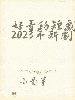 好看的短剧推荐2023年新剧