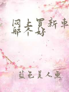 网上买新车网站哪个好