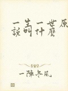一生一世原著小说叫什么