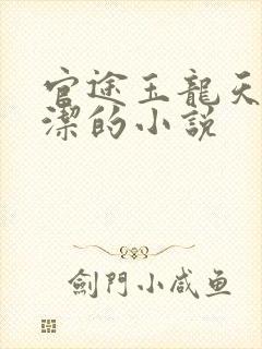 官途玉龙天骄黎洁的小说