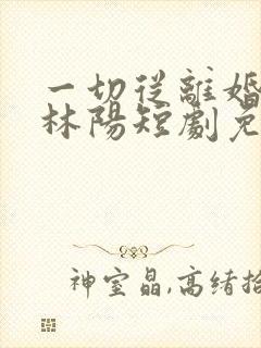 一切从离婚开始林阳短剧免费观看