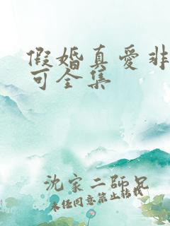 假婚真爱非她不可全集