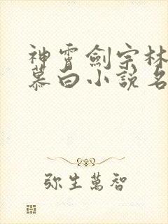 神霄剑宗林枫苏慕白小说名叫什么