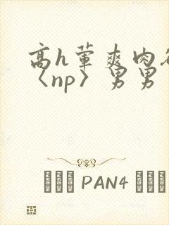 高h荤爽肉欲文〈np〉男男