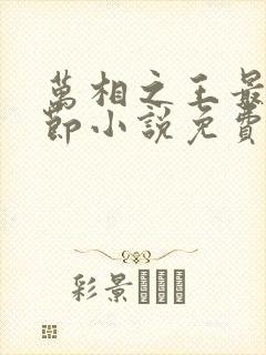 万相之王最新章节小说免费阅读