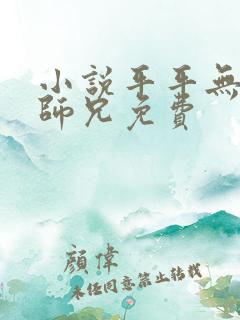 小说平平无奇大师兄免费
