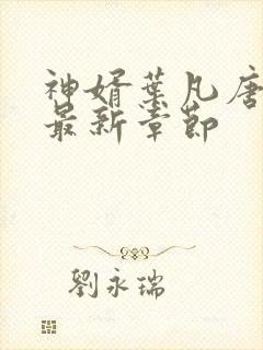 神婿叶凡唐若雪最新章节