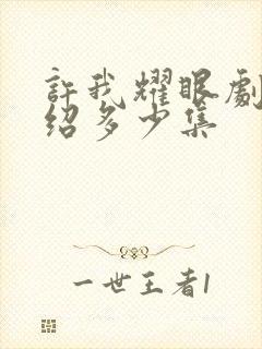 许我耀眼剧情介绍多少集