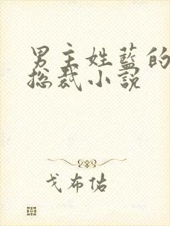 男主姓蓝的霸道总裁小说