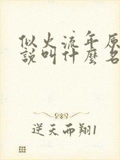 似火流年原著小说叫什么名字