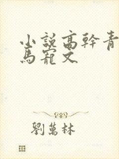 小说高干青梅竹马宠文