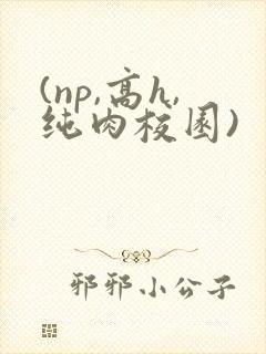 (np,高h,纯肉校园)