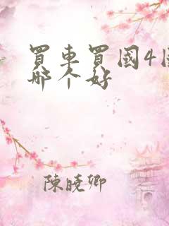 买车买国4国5哪个好