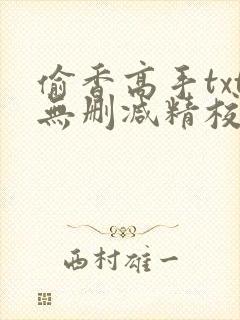 偷香高手txt无删减精校版