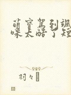 萌宝驾到飒爽妈咪太酷了短剧演员表