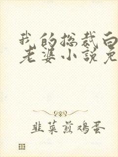 我的总裁白富美老婆小说免费阅读的