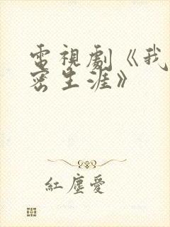 电视剧《我的绝密生涯》