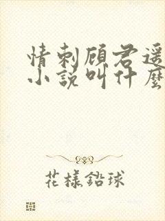 情刺顾君遥原著小说叫什么