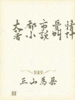 大都市爱情法原著小说叫什么