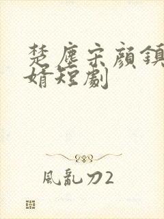 楚尘宋颜镇国神婿短剧