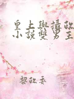 皇上与摄政王的小说双男主