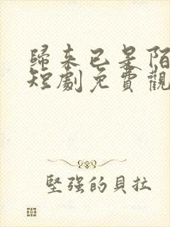 归来已是陌路人短剧免费观看全集