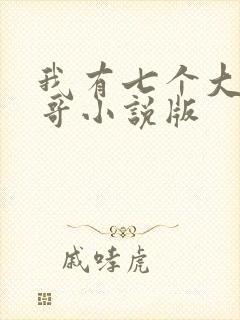 我有七个大佬哥哥小说版