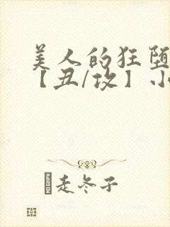 美人的狂堕遭遇【丑/攻】小说