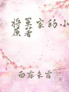 将军家的小娘子原著