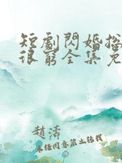 短剧闪婚总裁都很穷全集免费观看