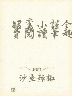 昭鸾小说全文免费阅读笔趣阁