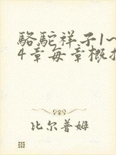 骆驼祥子1~24章每章概括