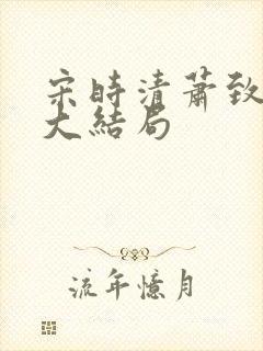 宋时清萧致徐蓉大结局