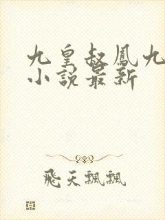 九皇叔凤九儿的小说最新