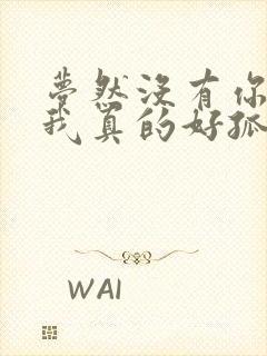 梦然没有你陪伴我真的好孤单 原唱