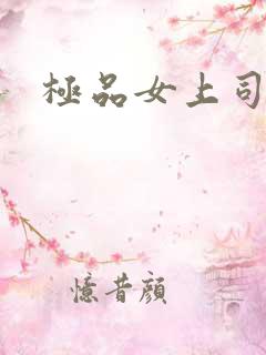 极品女上司小说