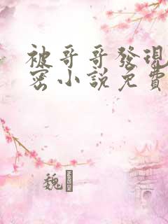 被哥哥发现的秘密小说免费阅读全文