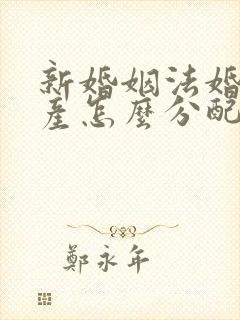 新婚姻法婚前财产怎么分配