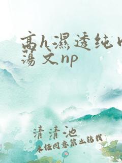 高h湿透纯肉放荡文np