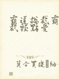 霸道总裁霸道总裁轻点爱