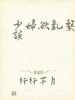 少妇欲乱系列小说