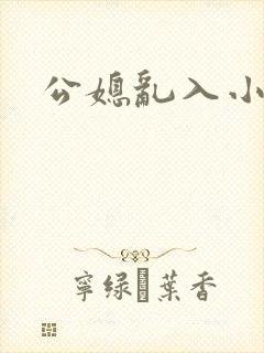 公媳乱入小说