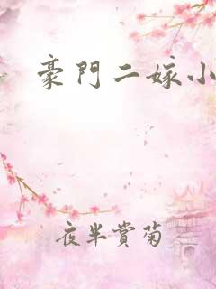 豪门二嫁小说