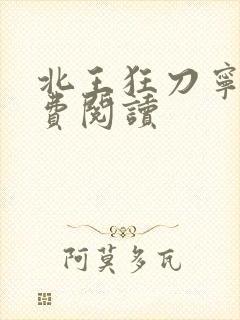 北王狂刀宁北免费阅读