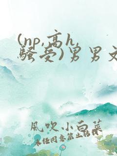 (np,高h,骚受)男男文