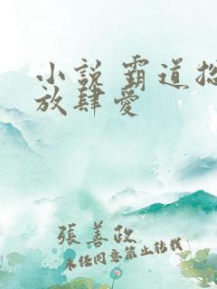 小说 霸道总裁放肆爱