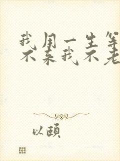 我用一生等你你不来我不老什么歌