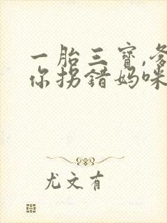 一胎三宝,爹地你拐错妈咪了免费阅读