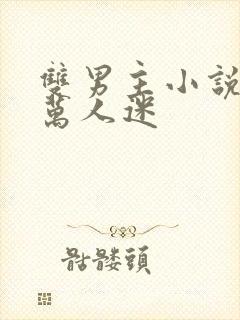 双男主小说推荐万人迷