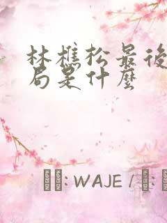 林樵松最后的结局是什么